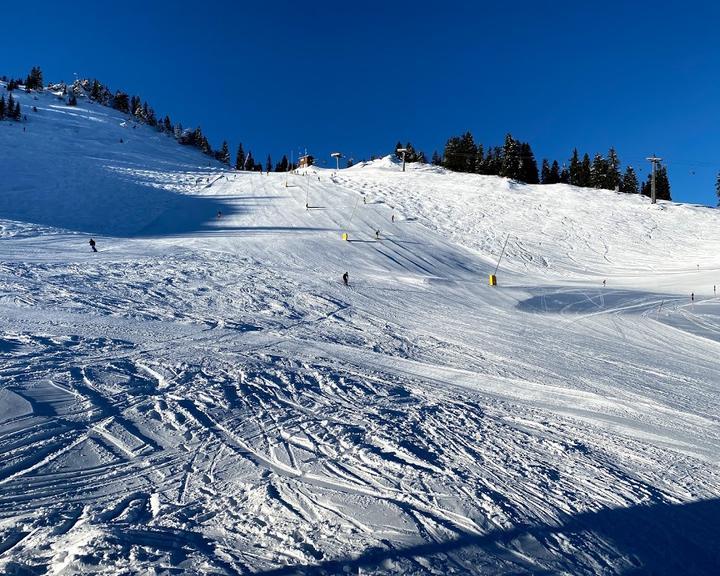 Berggasthaus Walleralm